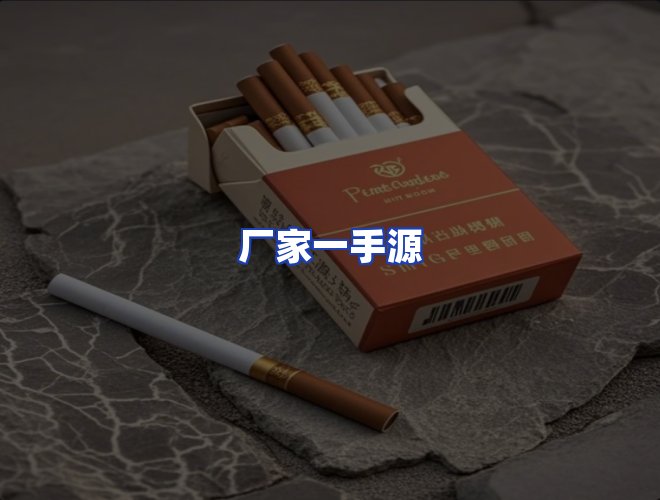 专业团队
